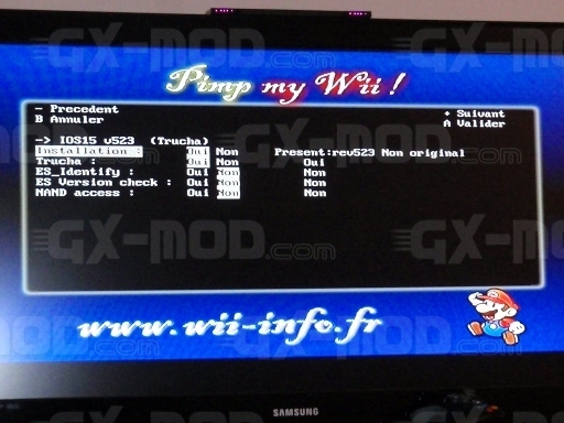 Hack-Wii-v4.3049.jpg